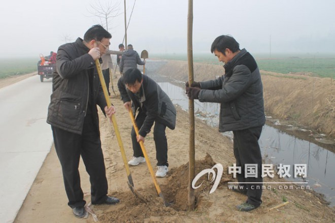 龙塘镇积极开展植树活动