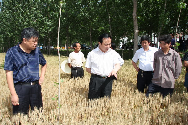 市委常委、组织部长王国清检查我县“三夏”备战、新农村建设等工作