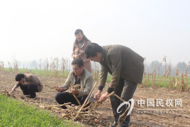 农业部植保专家组莅临民权进行农作物重大病虫害越冬基础调查