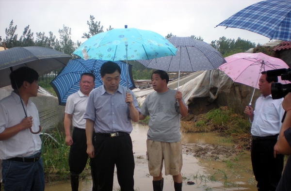 市民政局副局长丁繁华冒雨察看我县灾情