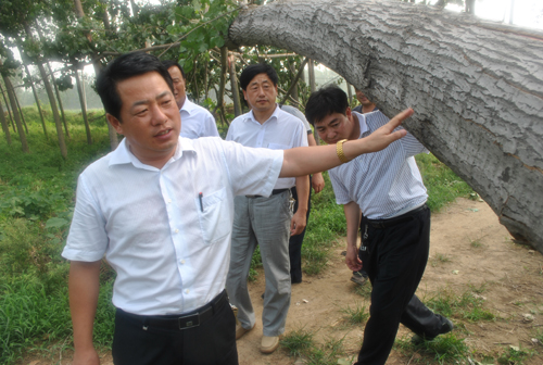 县长王仲田查看灾情