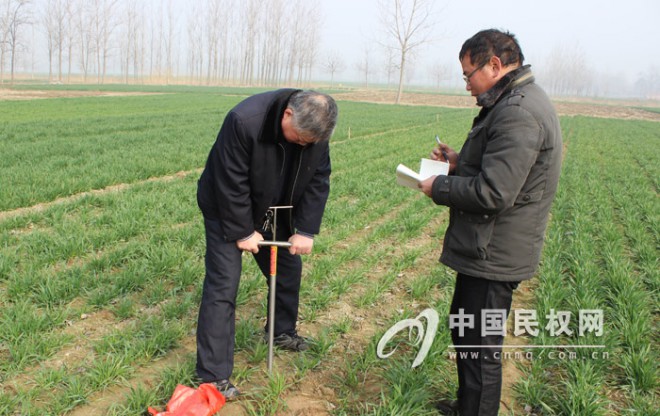 县农业局技术人员根据墒情及时制定肥水指导意见