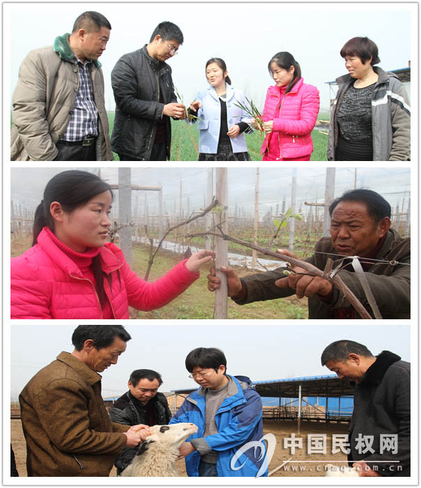 商丘师范学院生命科学学院院长闫永峰来我县开展送农业技术下乡活动