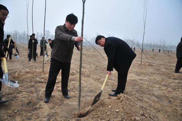 领导重视县乡联动我县掀起义务植树高潮