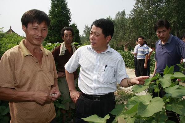 县长王仲田到老颜集乡调研