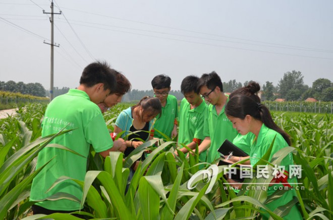 河南农大学子到人和镇开展社会实践活动