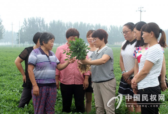 县农业局联合县妇联举办花生管理技术培训会