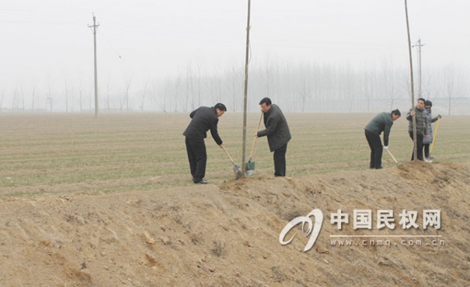 龙塘镇春季植树造林掀高潮