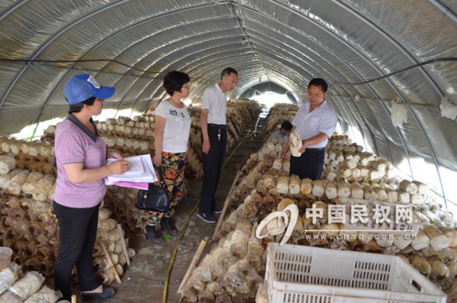 县农业局督促检查示范区果蔬基地及投入品市场促进出口示范区建设