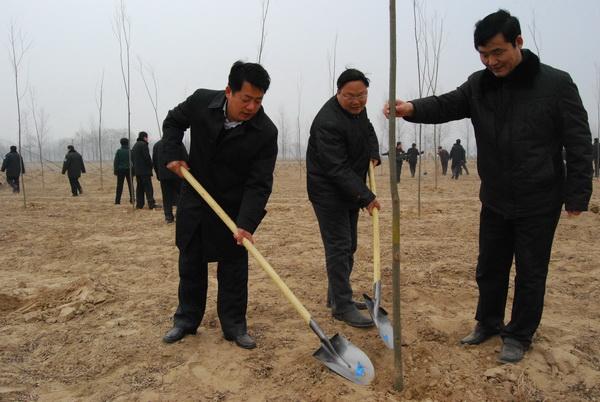 领导重视县乡联动我县掀起义务植树高潮