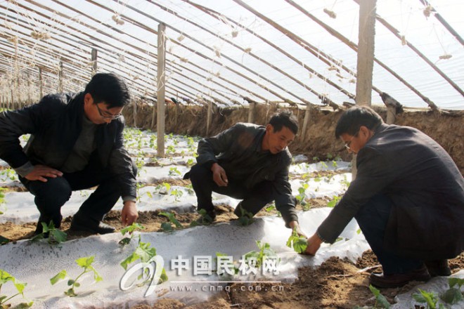 省农业专家科技扶贫到农家