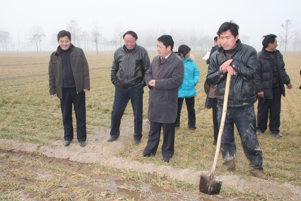 县长王仲田查看小麦浇水灌溉情况