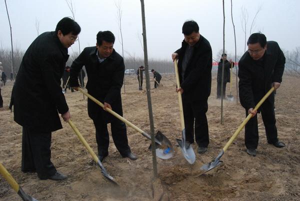 领导重视县乡联动我县掀起义务植树高潮