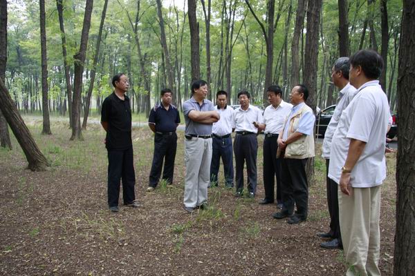 省政府参事室领导来民权考察旅游工作